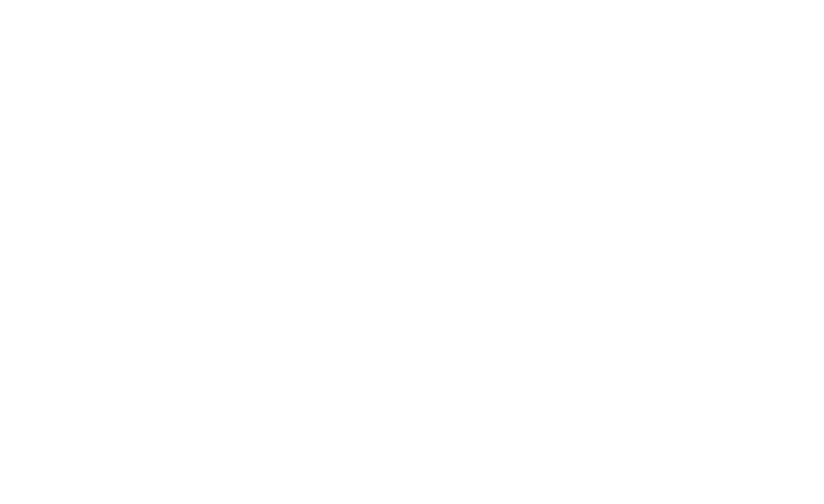 Melon Simulator™